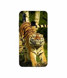 Amazon Brand - Solimo Designer Tiger 3D Printed Hard Back Case Mobile Cover for Vivo Y95