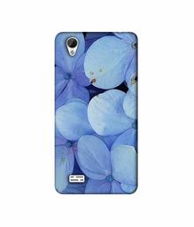 Amazon Brand - Solimo Designer Light Blue Flower Photography 3D Printed Hard Back Case Mobile Cover for Vivo Y31