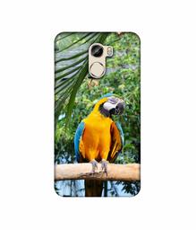 Amazon Brand - Solimo Designer Macaw Bird 3D Printed Hard Back Case Mobile Cover for Gionee X1