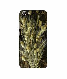 Amazon Brand - Solimo Designer Wheat Plants 3D Printed Hard Back Case Mobile Cover for Vivo Y69