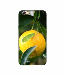 Amazon Brand - Solimo Designer Lemon 3D Printed Hard Back Case Mobile Cover for Oppo F1s