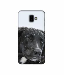 Amazon Brand - Solimo Designer Labrador Dog 3D Printed Hard Back Case Mobile Cover for Samsung Galaxy J6 Plus