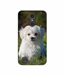 Amazon Brand - Solimo Designer White Dog UV Printed Soft Back Case Mobile Cover for LG K10 (2017)