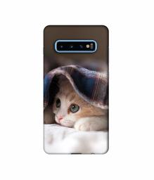 Amazon Brand - Solimo Designer Sleepy Kitten 3D Printed Hard Back Case Mobile Cover for Samsung Galaxy S10 Plus