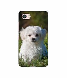 Amazon Brand - Solimo Designer White Dog 3D Printed Hard Back Case Mobile Cover for Xiaomi Redmi Y1 Lite