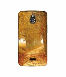 Amazon Brand - Solimo Designer Autumn Scene 3D Printed Hard Back Case Mobile Cover for InFocus M2