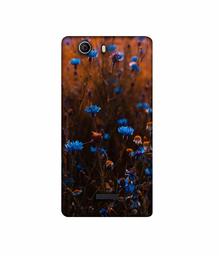 Amazon Brand - Solimo Designer Flower Photograpy 3D Printed Hard Back Case Mobile Cover for Micromax Canvas Nitro 2 E311