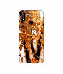 Amazon Brand - Solimo Designer Autumn Photography 3D Printed Hard Back Case Mobile Cover for Realme 3 Pro