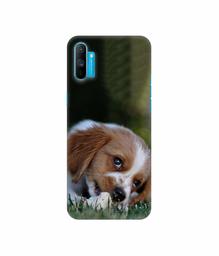 Amazon Brand - Solimo Designer Cute Puppy 3D Printed Hard Back Case Mobile Cover for Realme C3