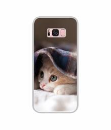 Amazon Brand - Solimo Designer Sleepy Kitten UV Printed Soft Back Case Mobile Cover for Samsung Galaxy S8 Plus