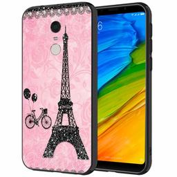 Amazon Brand - Solimo Designer Paris Printed Hard Back Case Mobile Cover for Xiaomi Redmi 5 (D1173)