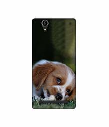 Amazon Brand - Solimo Designer Cute Puppy 3D Printed Hard Back Case Mobile Cover for Sony Xperia T2 Ultra