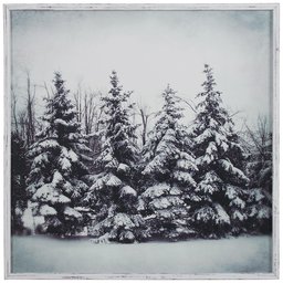 Amazon Brand – Stone & Beam Modern Black and White Print Wall Art of Forest Snow, White Frame, 12