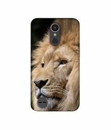 Amazon Brand - Solimo Designer Lion UV Printed Soft Back Case Mobile Cover for LG K10 (2017)