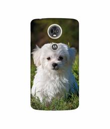 Amazon Brand - Solimo Designer White Dog 3D Printed Hard Back Case Mobile Cover for Motorola Moto E5 Plus