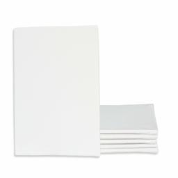 Eono by Amazon - Canvas Panels 15cm x 10cm Set of 6 Blank 100% Cotton