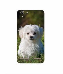 Amazon Brand - Solimo Designer White Dog 3D Printed Hard Back Case Mobile Cover for Lenovo Vibe K5 Plus