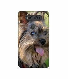 Amazon Brand - Solimo Designer Hairy Puppy 3D Printed Hard Back Case Mobile Cover for LG V20