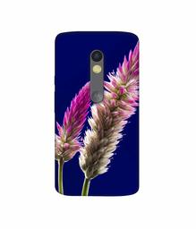 Amazon Brand - Solimo Designer Wheat Flower 3D Printed Hard Back Case Mobile Cover for Motorola Moto X Force