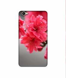 Amazon Brand - Solimo Designer Blossom Like Flower 3D Printed Hard Back Case Mobile Cover for Vivo Y55L