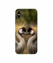 Amazon Brand - Solimo Designer Birds 3D Printed Hard Back Case Mobile Cover for Apple iPhone Xs Max