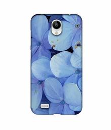 Amazon Brand - Solimo Designer Light Blue Flower Photography 3D Printed Hard Back Case Mobile Cover for Vivo Y21L