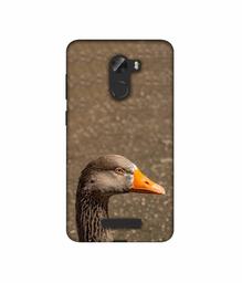 Amazon Brand - Solimo Designer Duck Face 3D Printed Hard Back Case Mobile Cover for Gionee A1 Lite