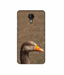 Amazon Brand - Solimo Designer Duck Face 3D Printed Hard Back Case Mobile Cover for Micromax Canvas Nitro 4G E455