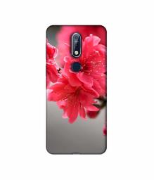 Amazon Brand - Solimo Designer Blossom Like Flower 3D Printed Hard Back Case Mobile Cover for Nokia 7.1