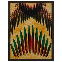 Amazon Brand – Rivet Spanned Red, Green and Gold Feathers in Dark Gray Frame Wall Art, 32