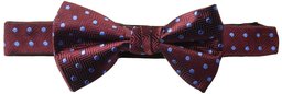 Marca Amazon - Buttoned Down 100% Silk Pre-tied Bow Tie - bow-ties Hombre