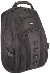 Amazonbasics Travel Laptop Backpack, 4-Pack