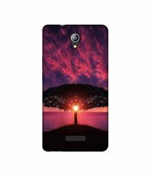 Amazon Brand - Solimo Designer Nature Digital Painting 3D Printed Hard Back Case Mobile Cover for Micromax Canvas Pace 4G Q416