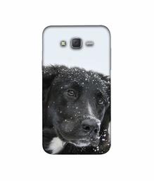 Amazon Brand - Solimo Designer Labrador Dog 3D Printed Hard Back Case Mobile Cover for Samsung Galaxy J7