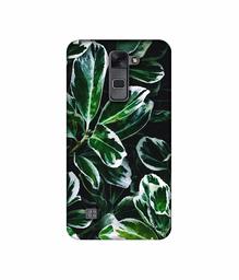 Amazon Brand - Solimo Designer Leaf Imperation 3D Printed Hard Back Case Mobile Cover for LG Stylus 2