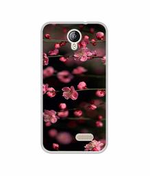 Amazon Brand - Solimo Designer Pink Flowers UV Printed Soft Back Case Mobile Cover for Lephone W2