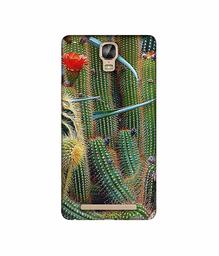 Amazon Brand - Solimo Designer Cactus 3D Printed Hard Back Case Mobile Cover for Gionee Marathon M5 Plus