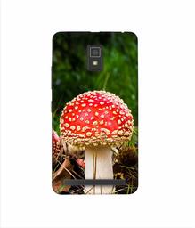 Amazon Brand - Solimo Designer Red Mushroom 3D Printed Hard Back Case Mobile Cover for Lenovo A6600