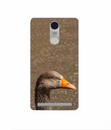 Amazon Brand - Solimo Designer Duck Face 3D Printed Hard Back Case Mobile Cover for Lenovo K5 Note