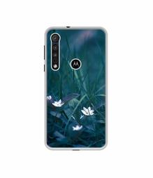 Amazon Brand - Solimo Designer White Flower UV Printed Soft Back Case Mobile Cover for Motorola One Macro