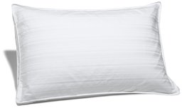 Pinzon Pyrenees Hypoallergenic White Down Pillow