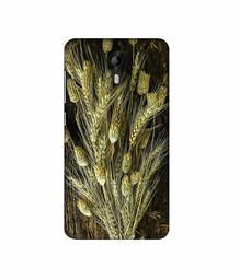 Amazon Brand - Solimo Designer Wheat Plants 3D Printed Hard Back Case Mobile Cover for Micromax Canvas Nitro 4G E455