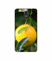 Amazon Brand - Solimo Designer Lemon 3D Printed Hard Back Case Mobile Cover for Samsung Galaxy Note 3 N9000