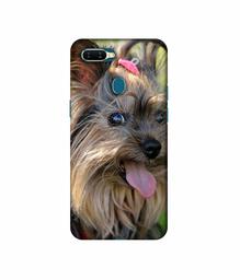 Amazon Brand - Solimo Designer Hairy Puppy 3D Printed Hard Back Case Mobile Cover for Oppo A7