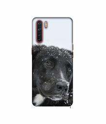 Amazon Brand - Solimo Designer Labrador Dog 3D Printed Hard Back Case Mobile Cover for Oppo A91