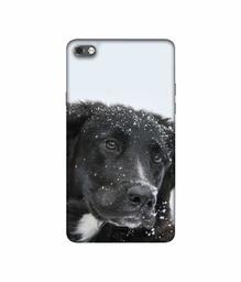 Amazon Brand - Solimo Designer Labrador Dog 3D Printed Hard Back Case Mobile Cover for Micromax Canvas Sliver 5 Q450