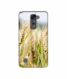 Amazon Brand - Solimo Designer Wheat Plant 3D Printed Hard Back Case Mobile Cover for LG Stylus 2