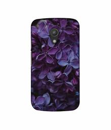 Amazon Brand - Solimo Designer Purple Flowers 3D Printed Hard Back Case Mobile Cover for Motorola Moto G 2nd Generation