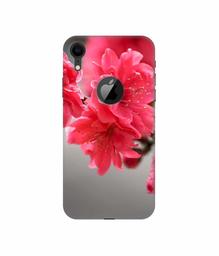 Amazon Brand - Solimo Designer Blossom Like Flower 3D Printed Hard Back Case Mobile Cover for Apple iPhone XR (Logo Cut)