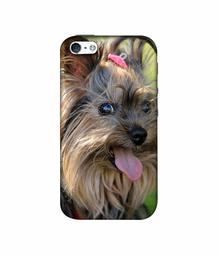 Amazon Brand - Solimo Designer Hairy Puppy 3D Printed Hard Back Case Mobile Cover for Apple iPhone SE